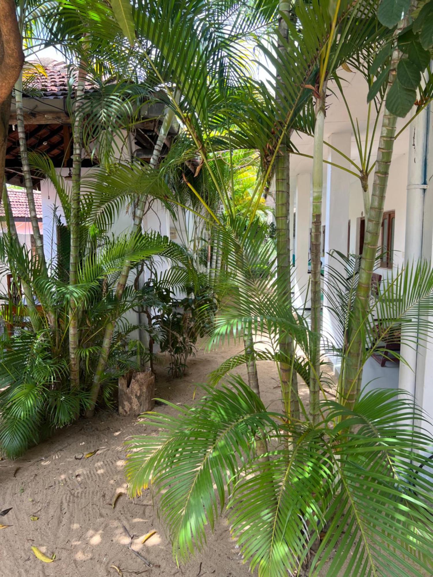 Moxy Bay Arugambay Hotel Arugam Bay Luaran gambar