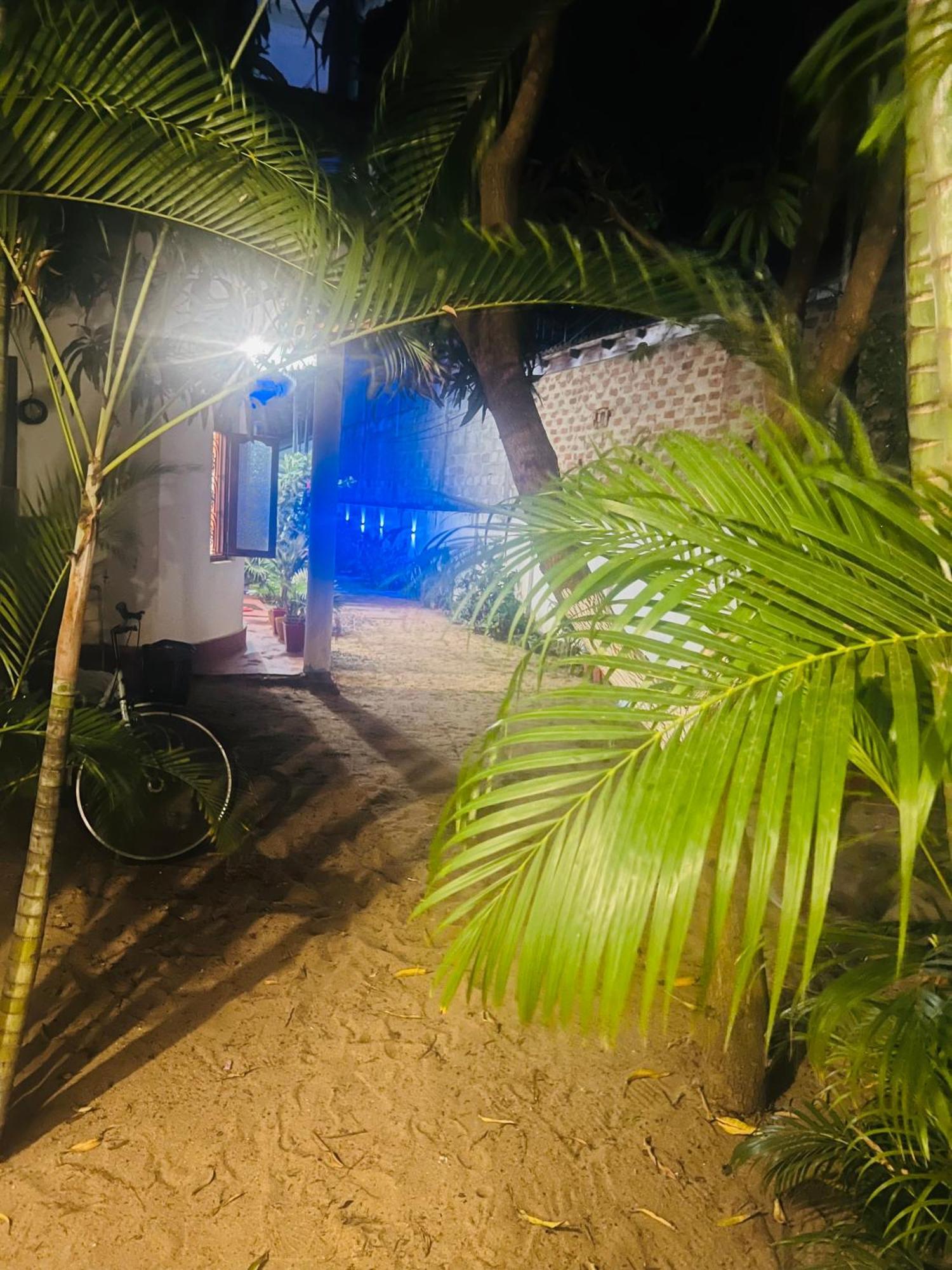 Moxy Bay Arugambay Hotel Arugam Bay Luaran gambar