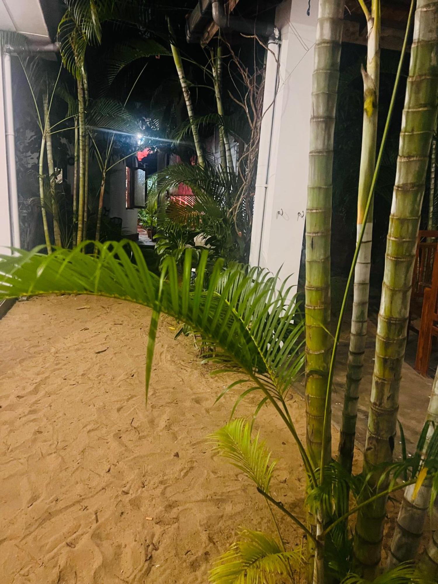 Moxy Bay Arugambay Hotel Arugam Bay Luaran gambar