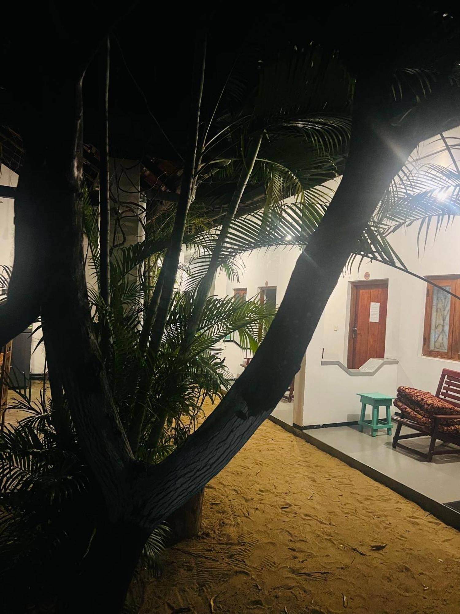 Moxy Bay Arugambay Hotel Arugam Bay Luaran gambar